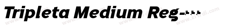 Tripleta Medium Reg字体转换 Tripleta Medium Reg字体转换